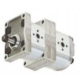 POMPA OLEODINAMICA IDRAULICA GRUPPO 2 30 CC DX- FLANGE IN GHISA - GEAR PUMPS