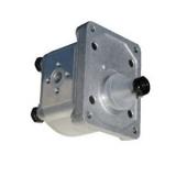 POMPA OLEODINAMICA IDRAULICA GRUPPO 2 6 CC SX - FLANGE IN GHISA - GEAR PUMPS