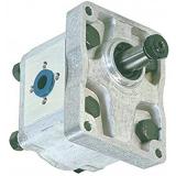 POMPA OLEODINAMICA IDRAULICA GRUPPO 2 6 CC SX - FLANGE IN GHISA - GEAR PUMPS