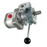 POMPA OLEODINAMICA IDRAULICA GRUPPO 2 30 CC DX- FLANGE IN GHISA - GEAR PUMPS